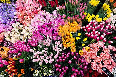 《死神：魂魄觉醒》角色预告片之更木剑八